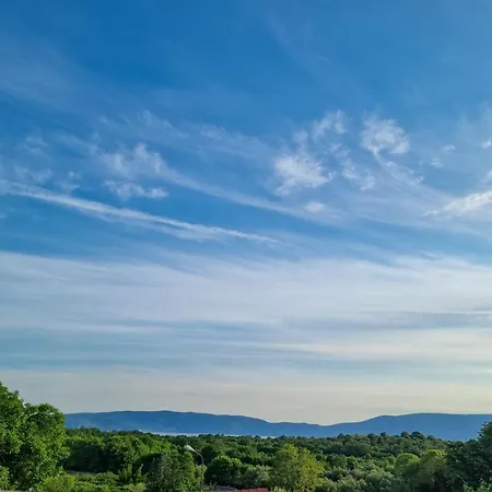 Apartament Predrag *